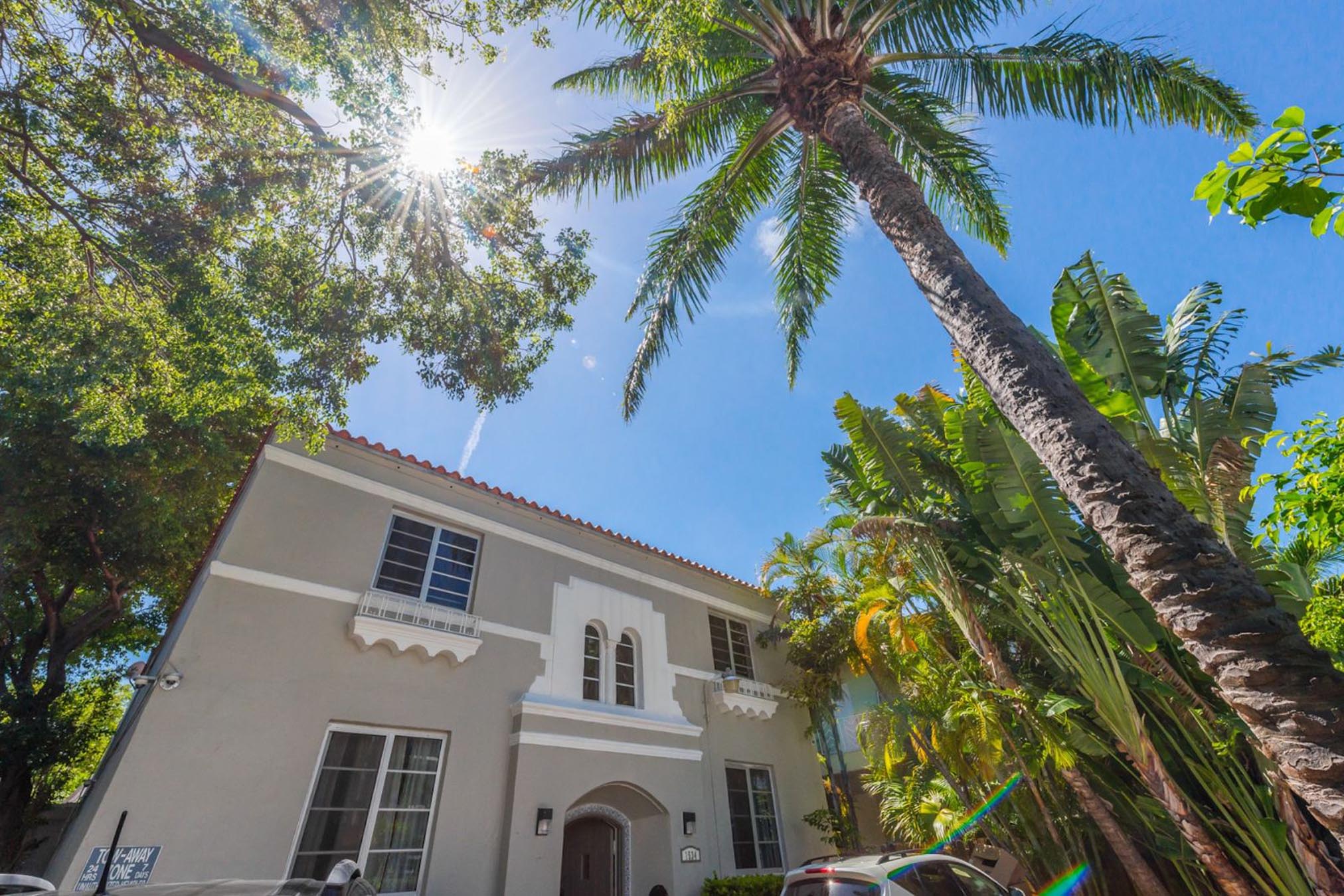 Building and palm trees